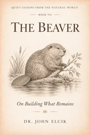 The Beaver