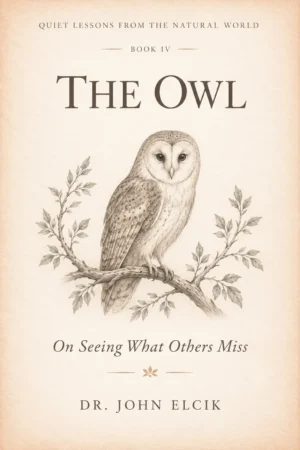 The Owl