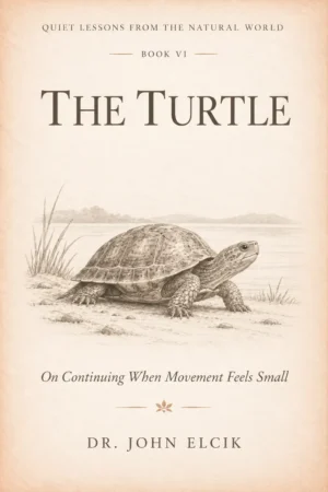 The Turtle